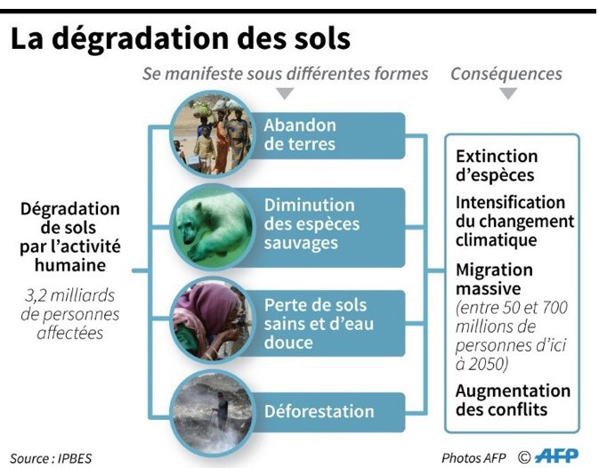 Florence Panoussian tweet media