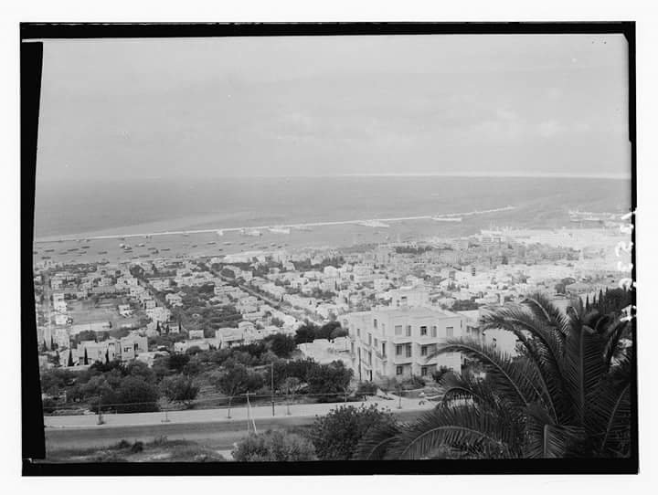 PaIestina's tweet photo. Haifa, Palestina en 1935 antes del robo sionista.
La propaganda mentirosa del sionismo dice que todo eso era desierto, tierra sin trabajar.
Está demostrado que los invasores no tienen vergüenza para mentir. https://t.co/GS1kCSBLVf