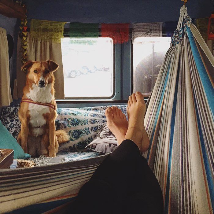 breakawaytales's tweet photo. ↟BREAKAWAYTALE NR 37≫ @theluckyvanlife⠀"I have traveled with my boyfriend Micha and our doglady Anuka for 9 months now. We quitted our jobs and appartment to start from Colombia southways to Ushuaia..." Read the whole tale ≫ https://t.co/peOdSLtNVW  #breakawaytales #vanlife https://t.co/K3lZNQwEvC