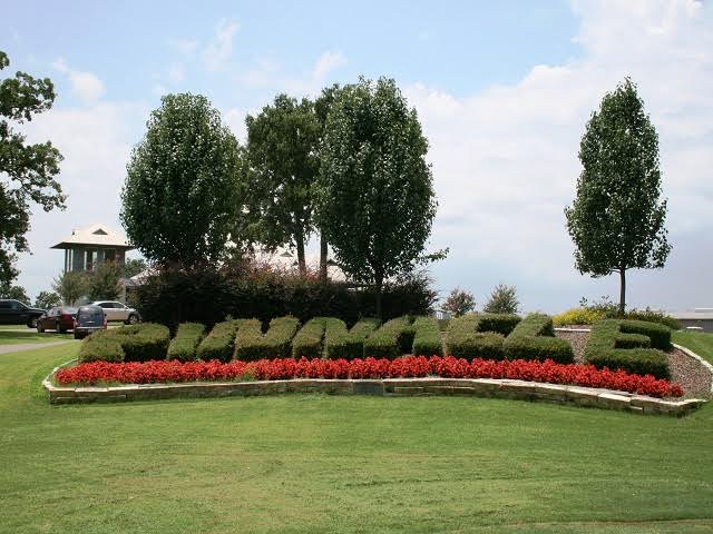 CCLCourtney's tweet photo. Eight listings in #PinnacleGolfClub #CedarCreekLake, Eight properties Under Contract! Soon to be Nine?!?! #BlessedAndGrateful #McAteeRealty #GunBarrelCity #Mabank https://t.co/JXpobimwV2