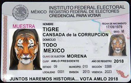 Jhan_Gnr's tweet photo. #AunqueSeEnojen El tigre https://t.co/B0vhONjVwA