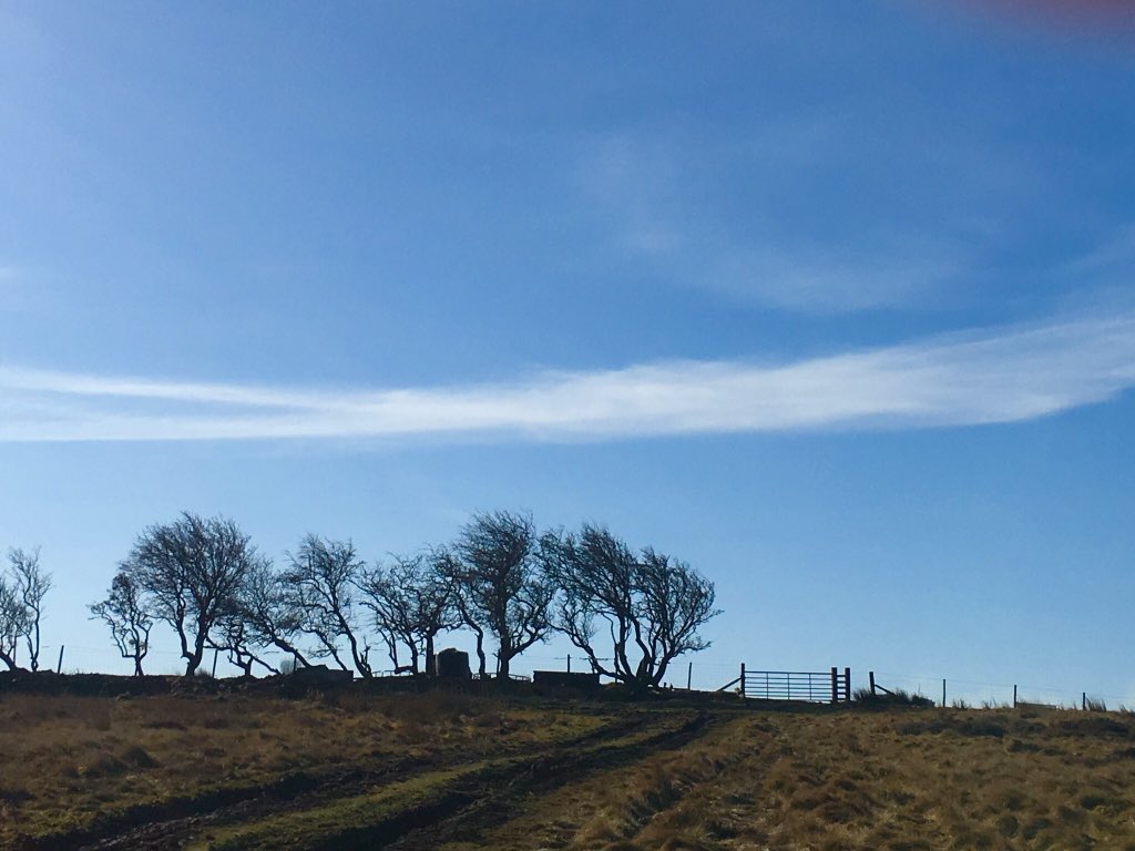 Rambler_Jan's tweet image. Grand day on the North York Moors yesterday round Castleton &amp;amp; Danby Dale. Quite warm in the valley, lovely to hear the skylarks on the moors #soundsofspring