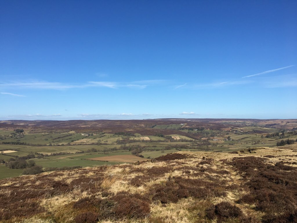 Rambler_Jan's tweet image. Grand day on the North York Moors yesterday round Castleton &amp;amp; Danby Dale. Quite warm in the valley, lovely to hear the skylarks on the moors #soundsofspring
