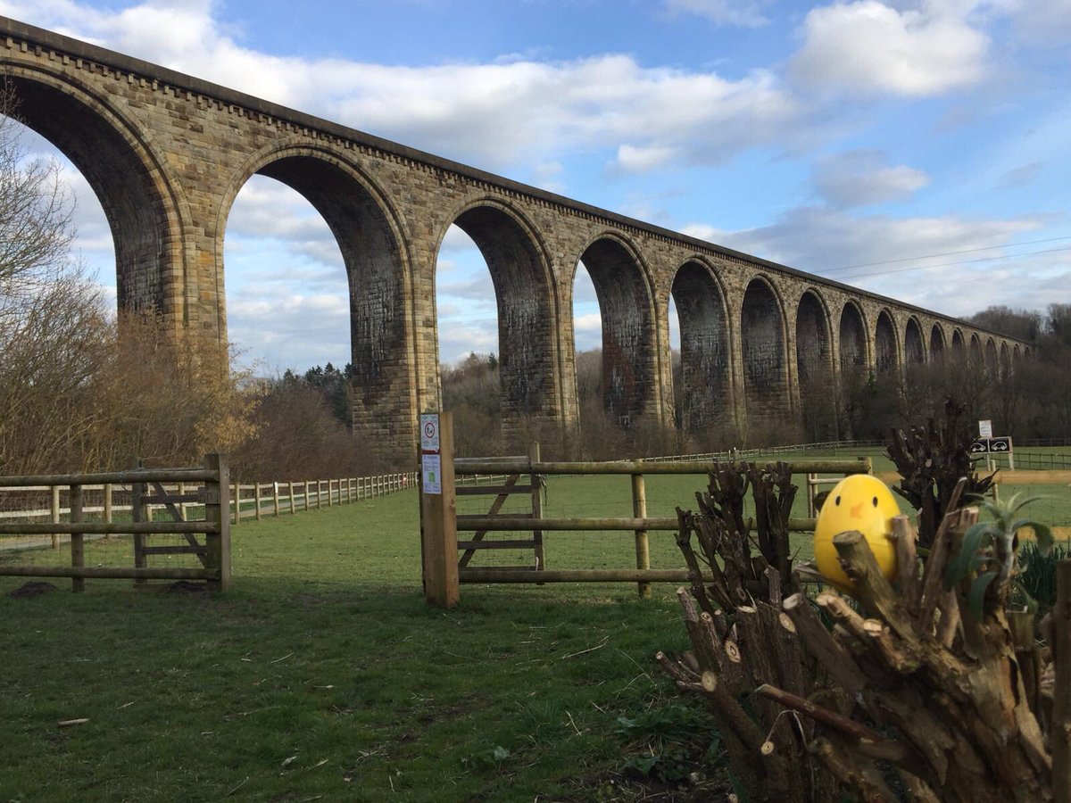 Fieldbounce tweet media