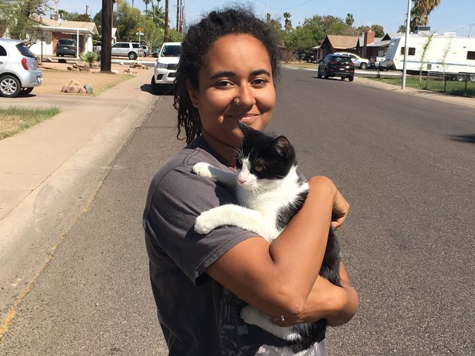 View image on Twitter