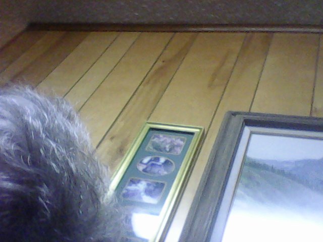 MaryTay1939's tweet image. Help! Which one word links trees, wood, leaves and flowers? tinyurl.com/ydyqtm5f @catalystapps