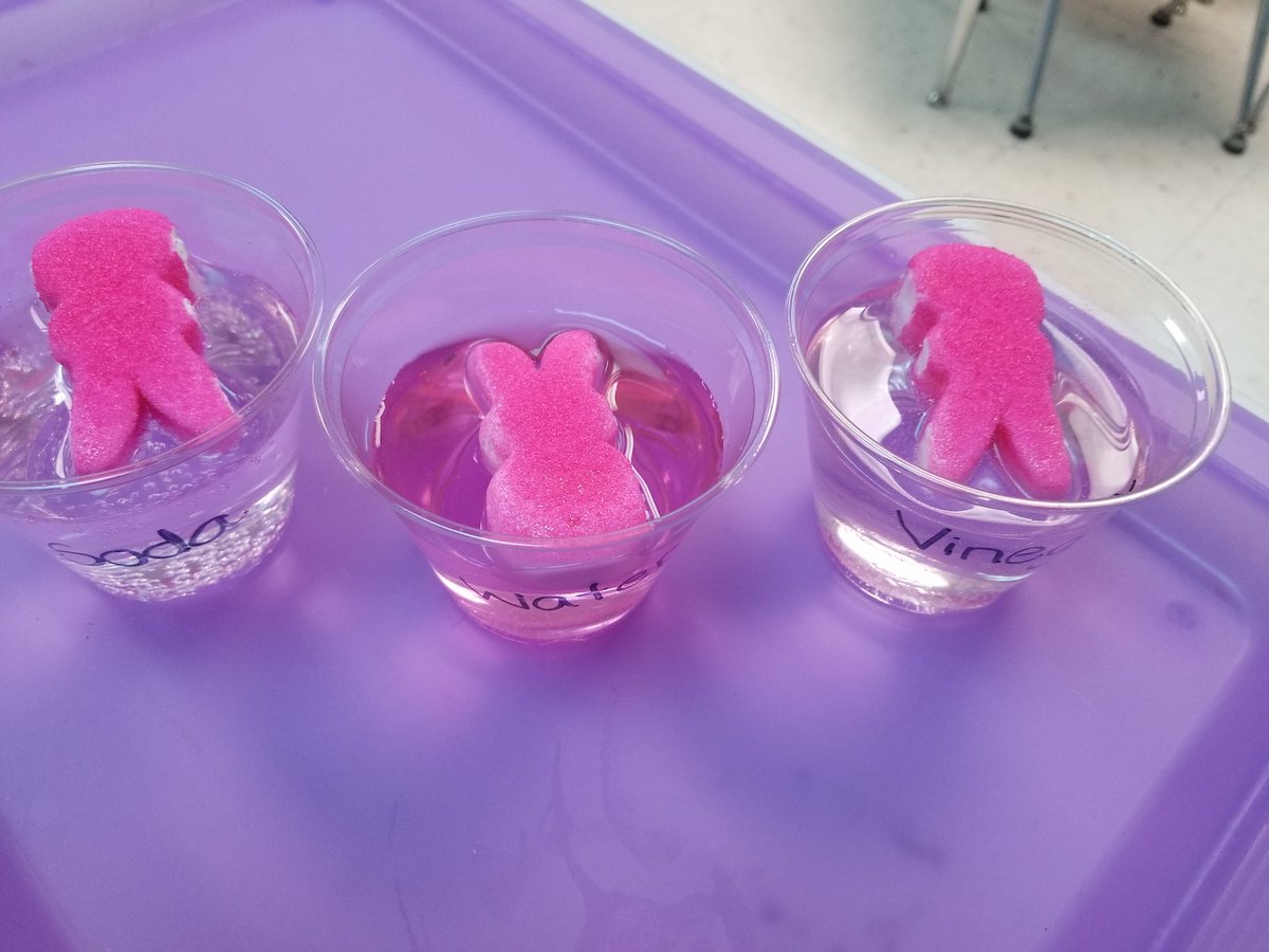 Mrs_Fredericks1's tweet photo. Any excuse to play with candy! Loved listening to the kids support their predictions and compare it to the candy heart experiment. #iteach #firstgraderocks #peepscience https://t.co/4uShW3OqcN