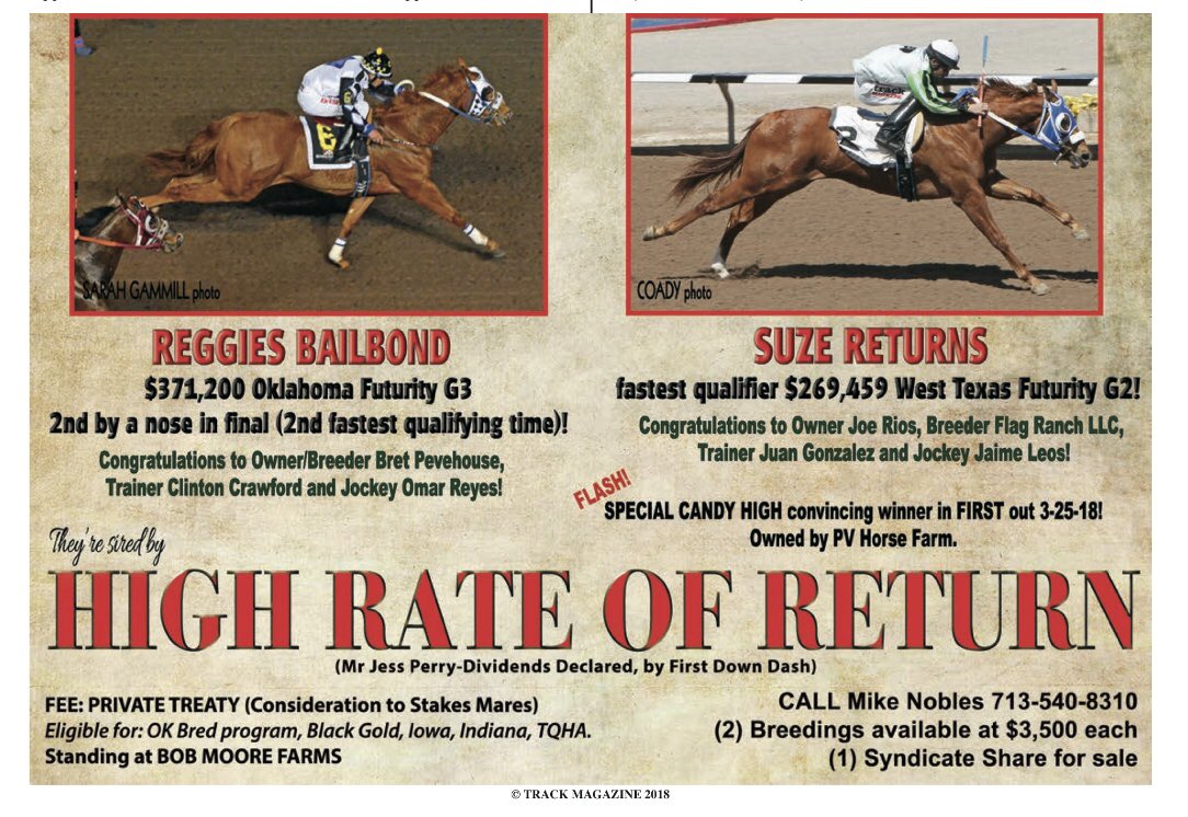 BobMooreFarms's tweet photo. Today’s #HighRateOfReturn Monday Report ad. TWO breedings at a fee of $3,500 each are available to High Rate Of Return. Call Mike Nobles at 713-540-8310 https://t.co/KVeaKGtOig https://t.co/pbHYyJbMGu
