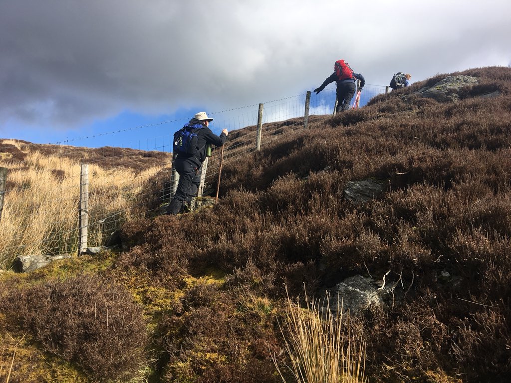 francesmcveigh's tweet photo. Great day in the #Sperrins #Gortin #Omagh ☀️ heading up Curraghchosaly Mountain the hard way and on to #GortinForestPark #nihillwalker https://t.co/xySvaBCKoQ