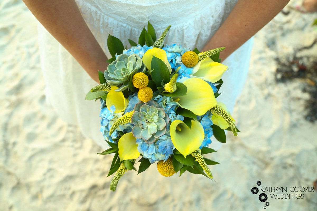 KCooperWeddings's tweet photo. Now booking engagements and elopements in the Hudson Valley, NYC, and beyond! https://t.co/QBwJIC3BfU 

#HudsonValley #weddingphotographer #wedding #photography #engaged https://t.co/ONVS90RBfq
