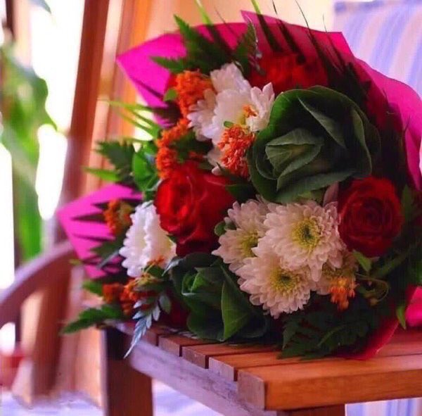 akit_shaikh's tweet photo. @iamMushirAli @ela_mishra Kash ki HAMARA KHOBSURAT INDUSTAN AISA HI HO JAYE 
BAS PYAR HI PYAR NAZAR AAYE 
AUR NETAO KA MUH KALA HO JAYE 
JAI HIND 
JAI HIND 
JAI HIND https://t.co/Ln21cC73Mo