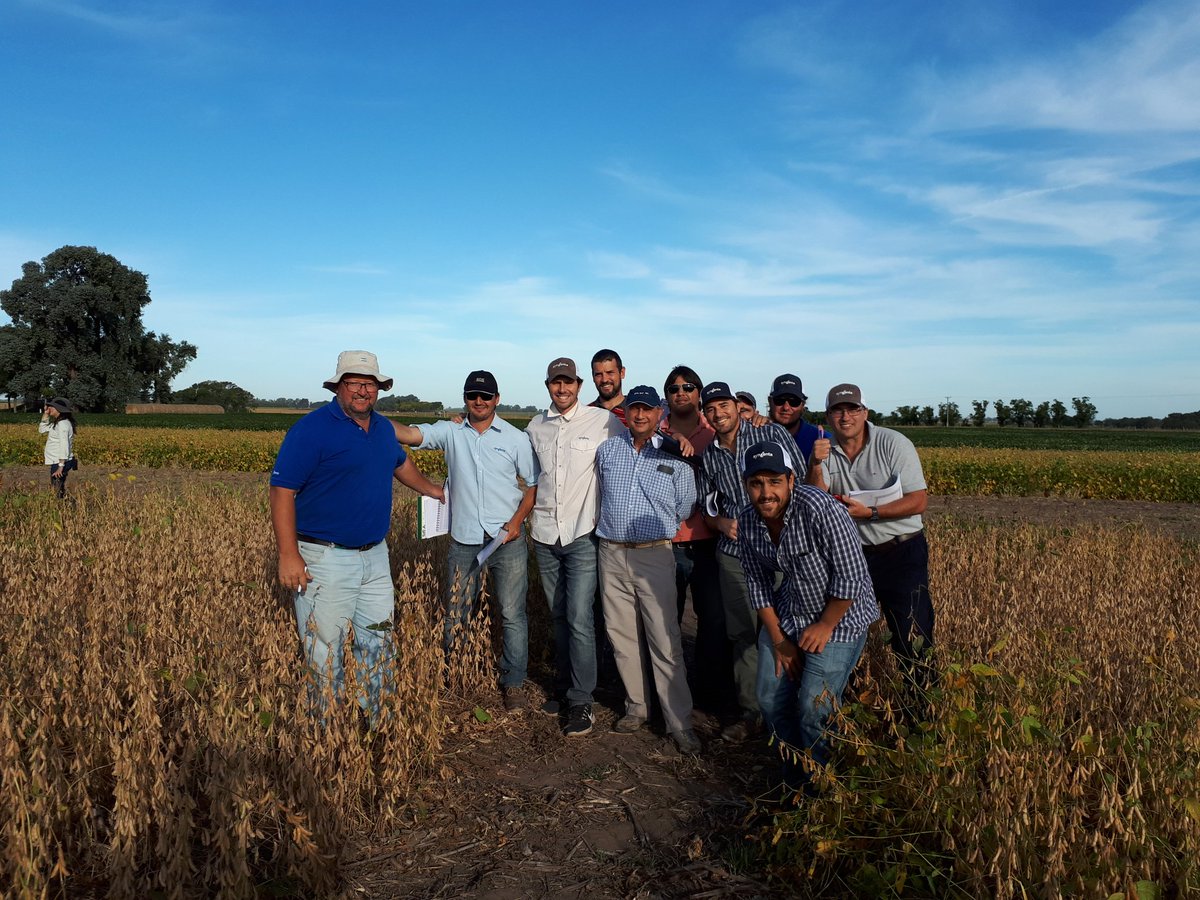 Sergio1963Luis's tweet photo. Recorriendo ensayos de soja @Syngenta_ar norte de Buenos Aires https://t.co/4WhvExQ5f8