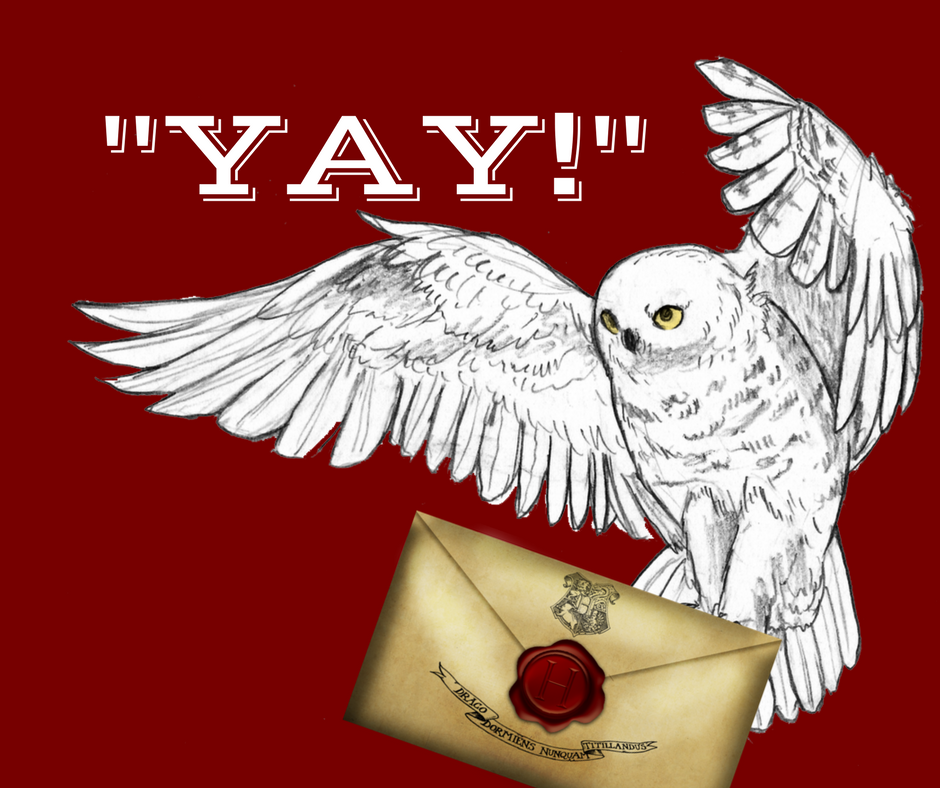 magicforgood's tweet photo. Wanna see us come back next year? We're looking for owls to tell us, “yea” or “nay” before we commit to rebuilding and creating new things for next Fall. 
Vote here on Facebook: https://t.co/Ou7V62Dk25 https://t.co/xdhDW7FDMc