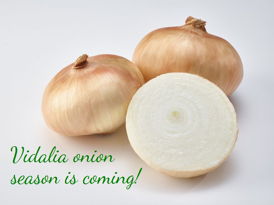 Vidaliaonions1's tweet photo. BREAKING NEWS: The official start date for Vidalia onion season has been announced! Mark your calendars for April 20th! We can’t wait for all to enjoy this year’s harvest. https://t.co/LvcWKLL3wP https://t.co/MPFHx8QfGL