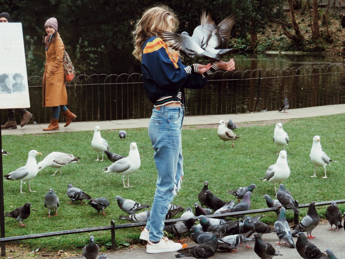 morganschulltz's tweet photo. WARNING: don’t feed the birds https://t.co/met40V201B