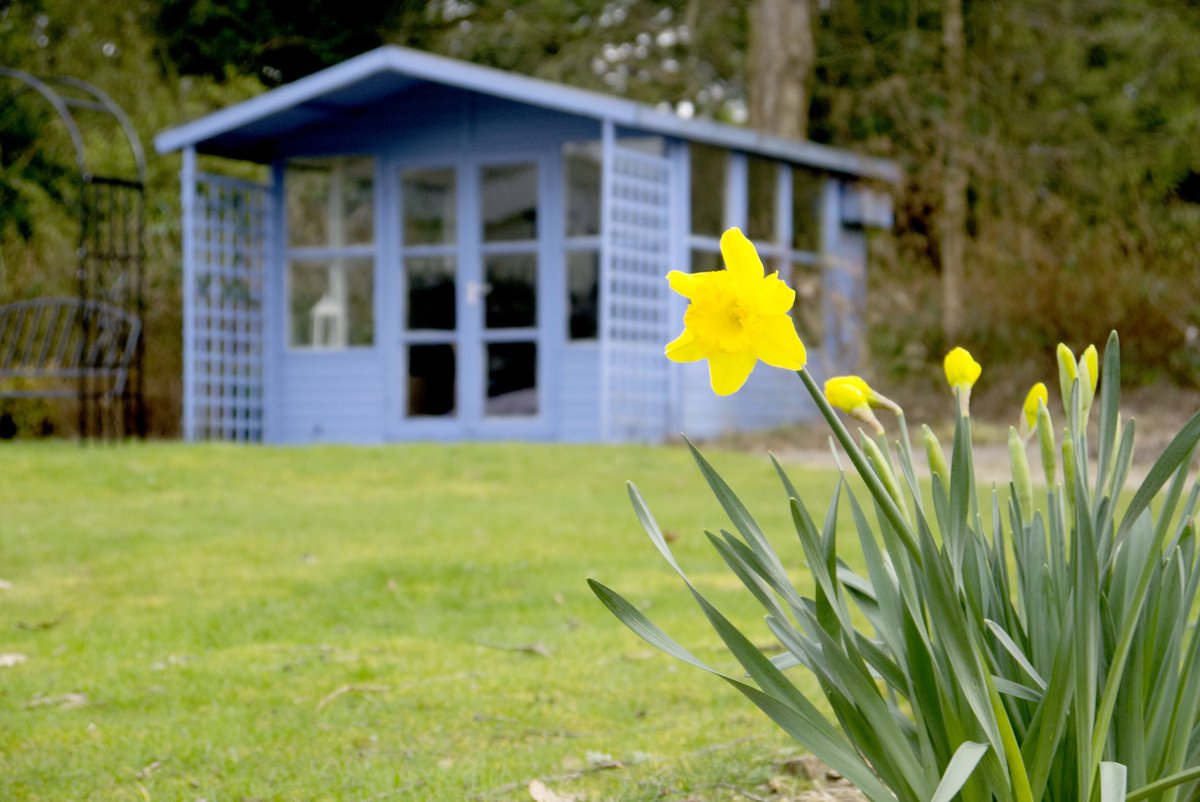 digitall_me's tweet photo. I was lucky enough to have a meeting in these beautiful surroundings today #freelancer #beautiful #photography #spring #daffs https://t.co/OO59CFhrPa