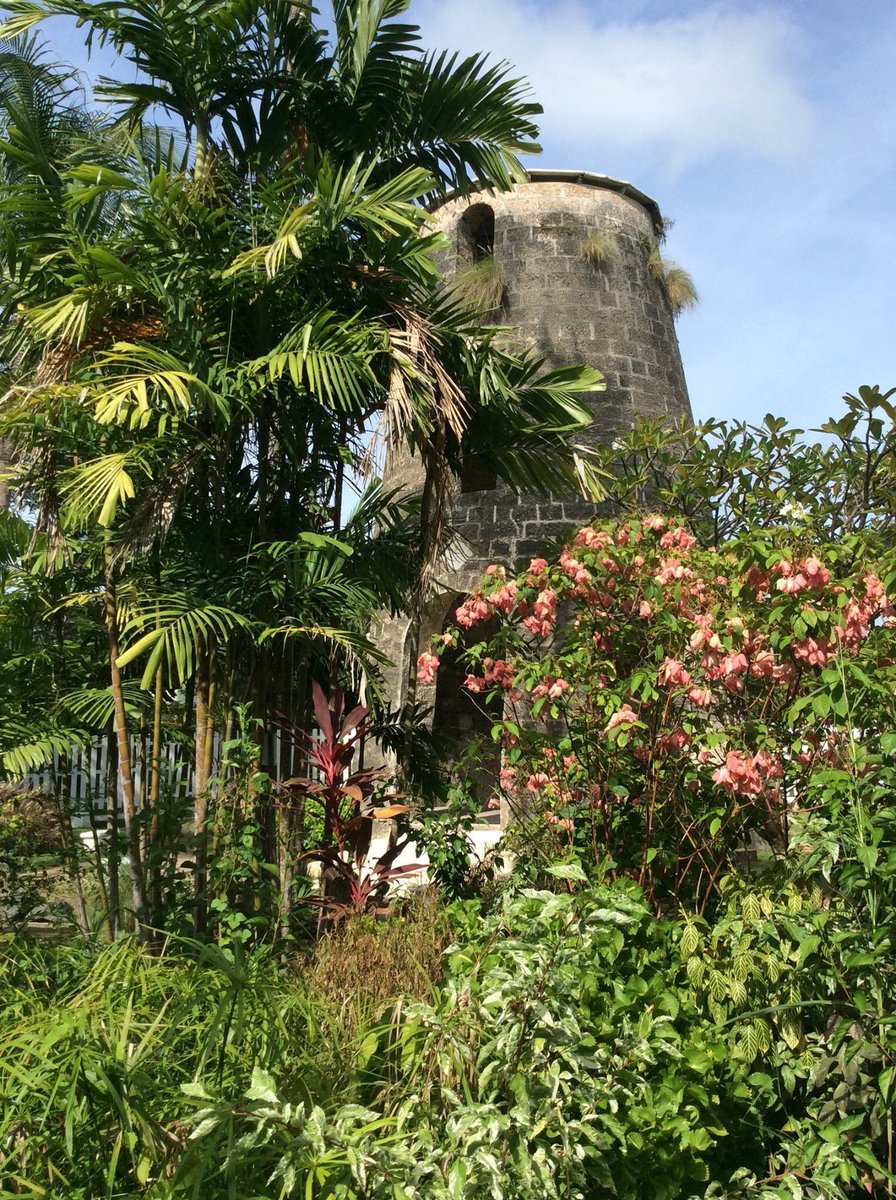 AlmondBarbados's tweet photo. Where are your favourite hideaway spots at Almond? #AlmondBeachBarbados #LiveAnIslandLife https://t.co/CiTjfuEuzZ