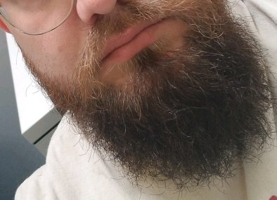 The beard has now obtained a potential sponsor and is soon to be featured in a beards of Instagram article. I think soon our careers might take different paths, hopefully we can make this thing work. #beards #Beard #beardoil #beardclubformen #BeardLife #pogonophile #blackhatchet