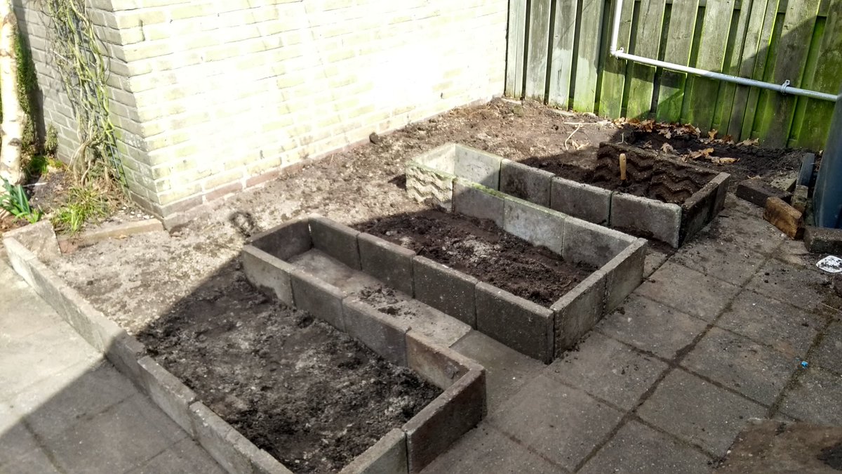 Marthe Vroegop tweet media