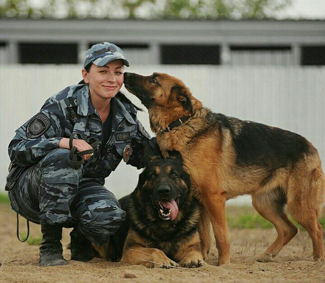 Плюсы кинолога. Кинолог. Полицейский кинолог. Кинолог с собакой. Служебные собаки.