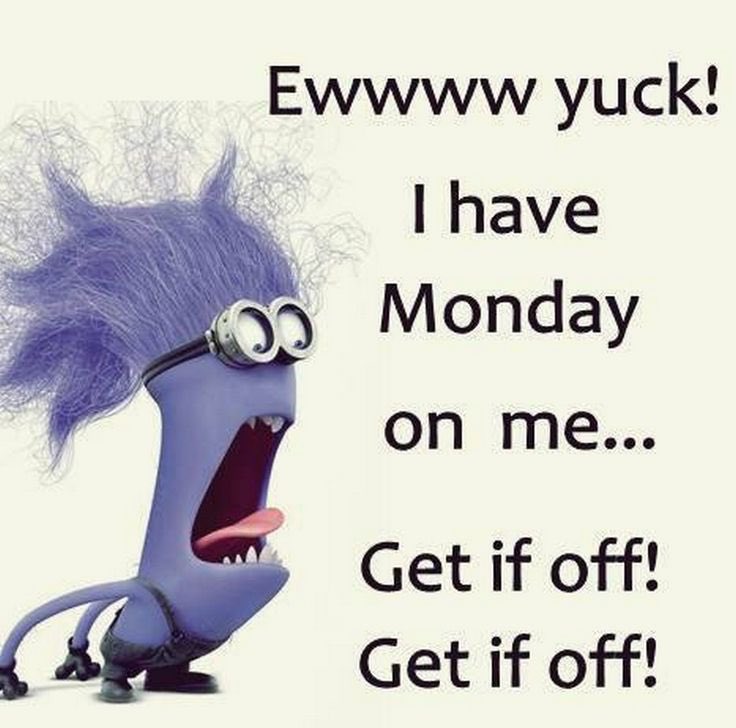 ltmd11's tweet photo. @kingsgatehorses @Grungelady @Vote4Pro_Life @TheGart @mcnetthj @LizSchmidt3 #Monday #gladitsalmostover https://t.co/LubopgDeuN