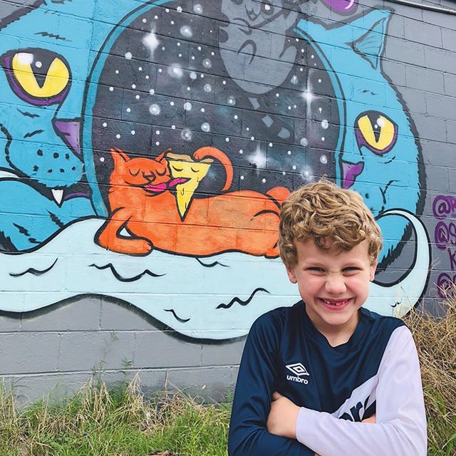 BlueCatCafe's tweet photo. Time spent with cats is never wasted 📷 @buddybones https://t.co/pqieZsWOKC