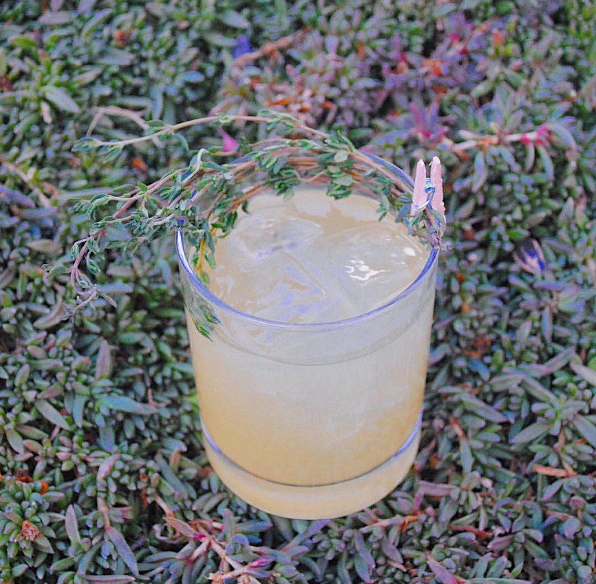 dencentralmkt's tweet photo. It's about thyme you tried this cocktail at Curio. https://t.co/lz4FDJ3uvz