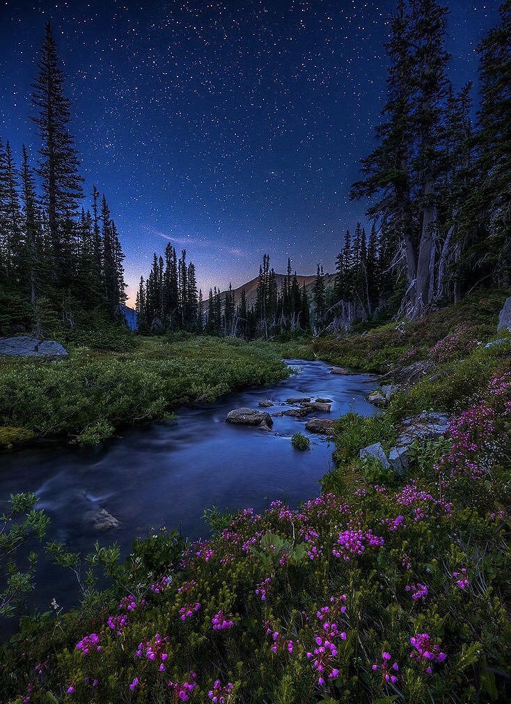 لا تنتظر شيئاً بلهفة ! 
فالأقدار كتبت أن يأتِيك كلّ
شيءِ في وقته !
🙄