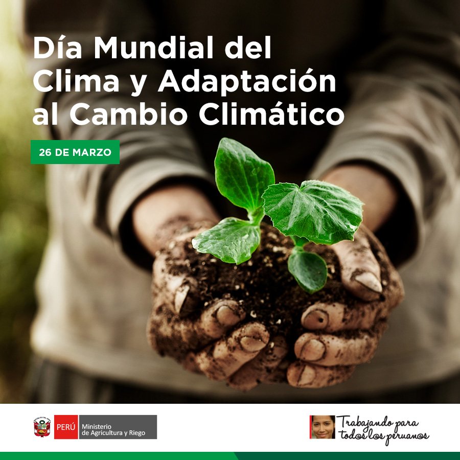 midagriperu's tweet photo. El #DíaMundialDelClima 🌎 es una oportunidad para tomar conciencia y realizar acciones efectivas de mitigación y adaptación al cambio climático global, especialmente en actividades vulnerables como la agricultura 🌾 y la ganadería 🐮 https://t.co/cuqQgWOyEM