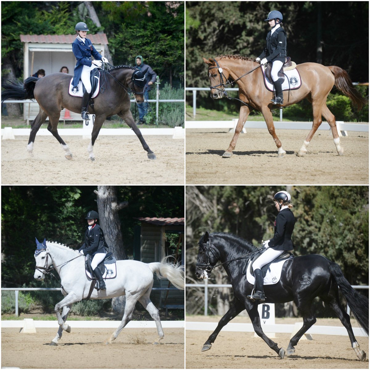 ippasia's tweet photo. #dressage #ippasia #equestrian #horse 
4ος Αγώνας Ιππικής Δεξιοτεχνίας ston IOB! 
Οι διακρίσεις του ΕΙΟ ήταν κυρίως γυναικεία υπόθεση!
Photo credits: https://t.co/IvmpcfnJgg
https://t.co/9KiHjIthQB https://t.co/rQW6ioustp