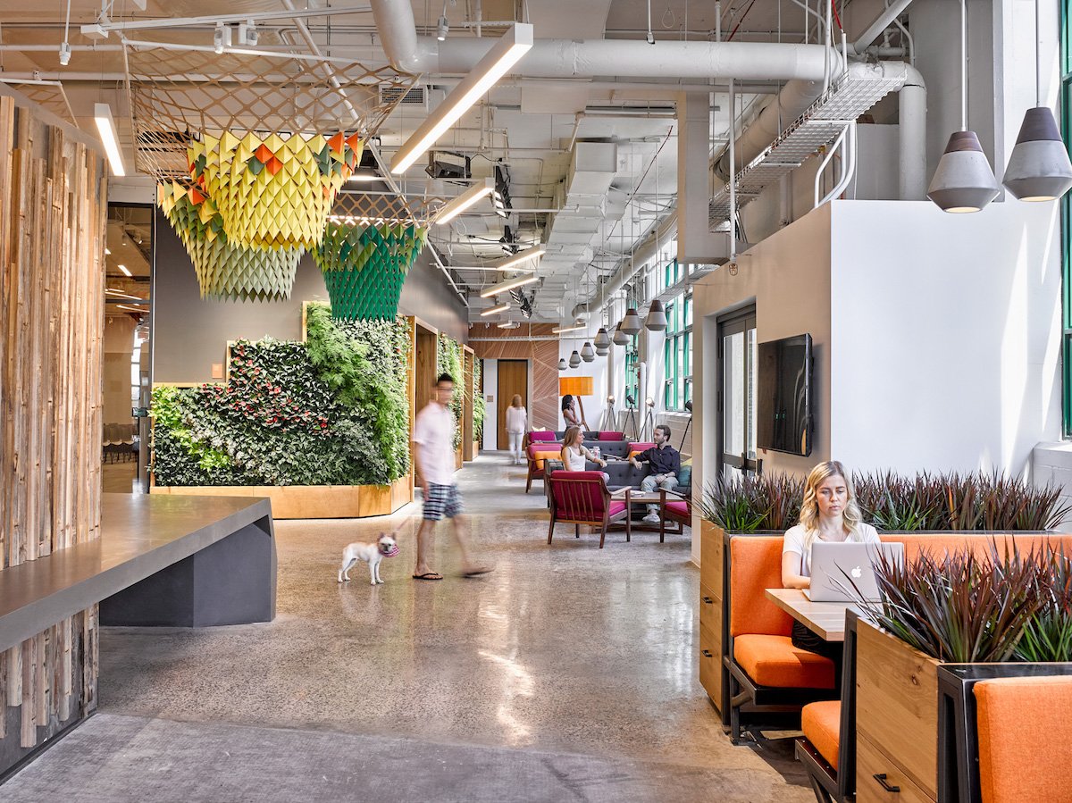 gbd_mag's tweet photo. Saving energy in the workplace can make a big difference in reducing your carbon footprint. Here are 5 tips to create a greener office: https://t.co/cSDJwi2xPB #officedesign #greenroofs #green #sustainable #biophilia https://t.co/53jCiGkltN