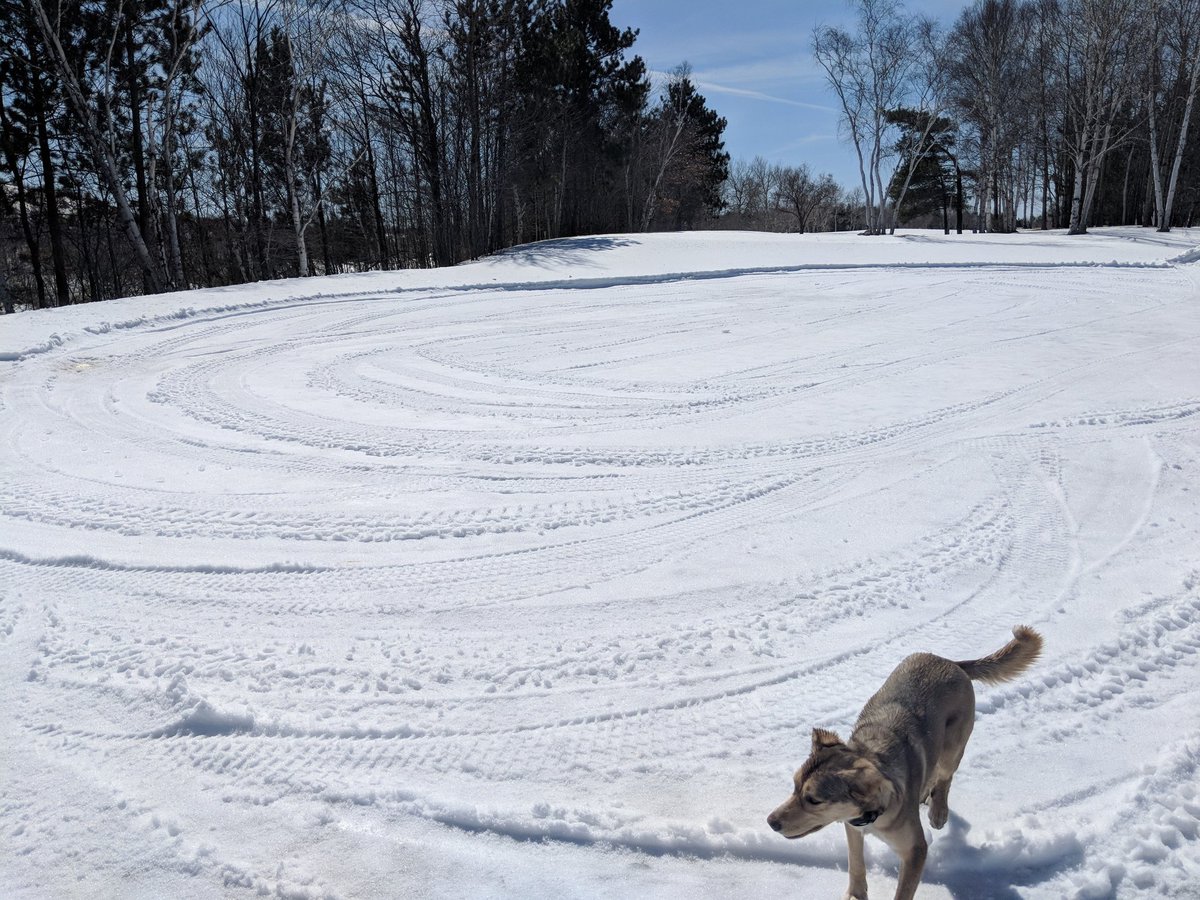 Don Walinga tweet media