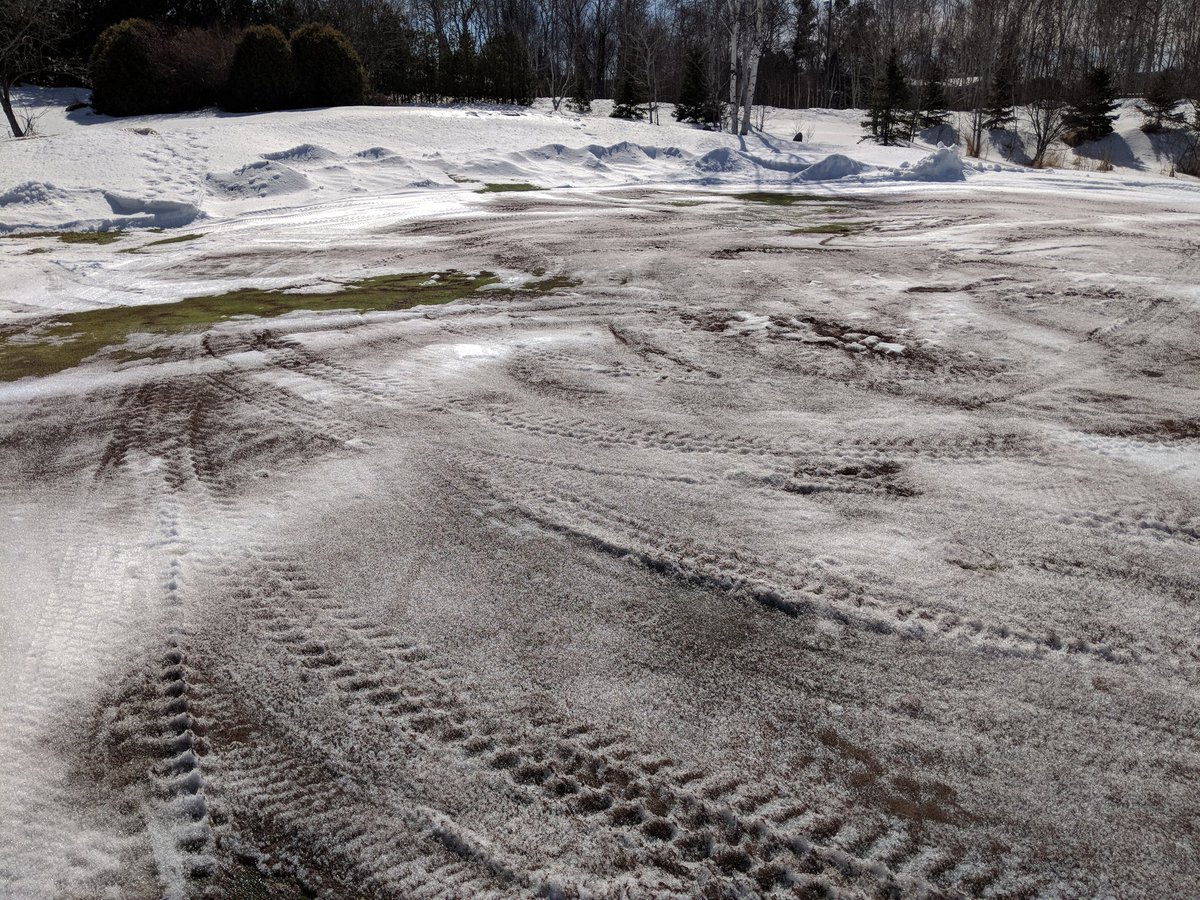 8 greens cleared off today, should be done for Wednesday's "heat"