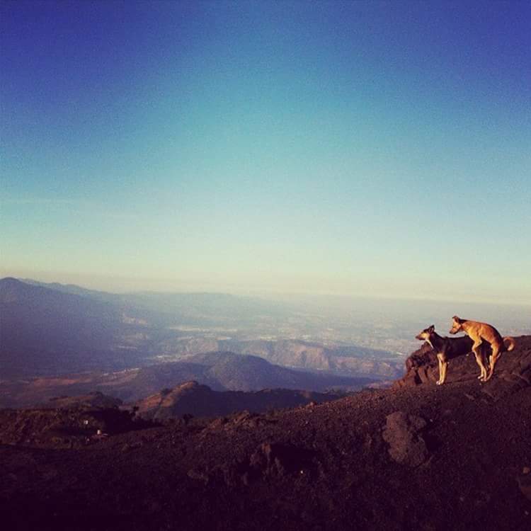 Rafa_HardcoreSP's tweet photo. Coisas para se fazer em lagares isolados :) https://t.co/nWepGzweY7