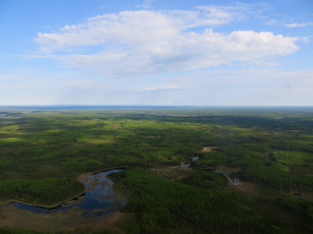 Diana Stralberg's new study using #ABMI data gives us a picture of how the boreal forest could change in the next 100 years. Check out our latest blog post for more: ow.ly/xWwG30janMv