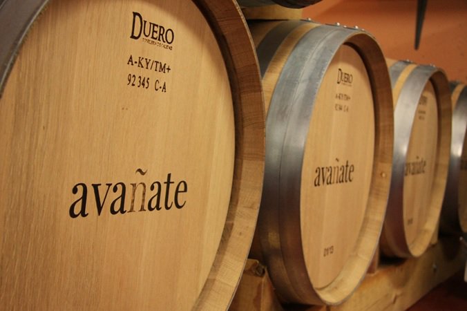 Seguimos descubriendo Ribera de Duero. Pincha en el enlace y únete.
auvimar.com/es/blog/39_rib…