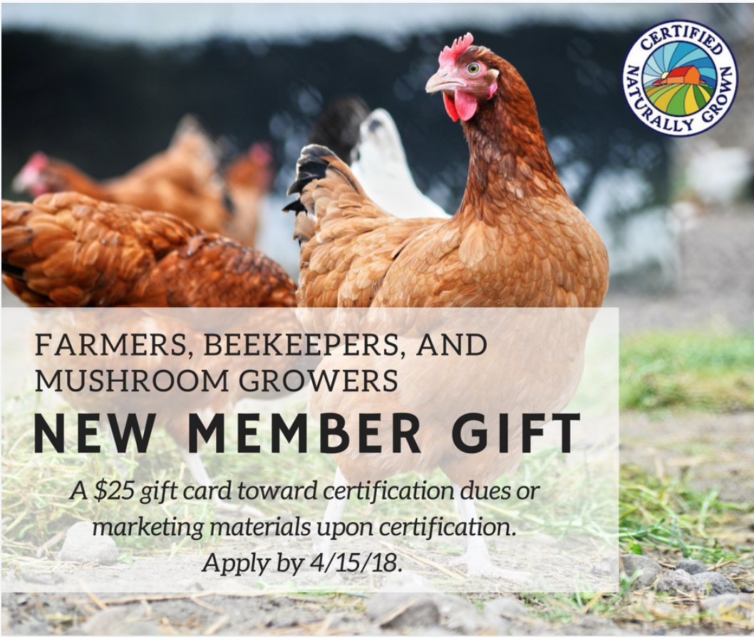 CNGfarming's tweet photo. Considering Certified Naturally Grown for your farm? Apply by April 15, get a $25 gift card, good for certification dues and marketing materials. https://t.co/Z4ewNWBjr0
#localfood #agroecology #peerreview #certification https://t.co/dgCPijjOZn