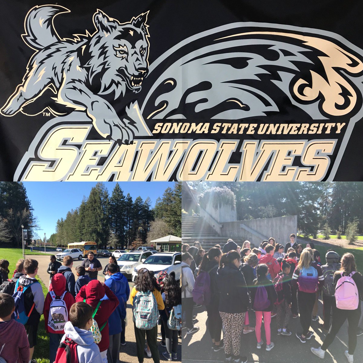 sjscorpions's tweet photo. Scorpion 6th graders getting a taste of the college experience at SSU! Thank you @10000degrees for the fantastic tour guides who gave our students such a valuable experience! @JustinMori35 @NUSDteach @jhogeboomer https://t.co/bZ95vrrXWu