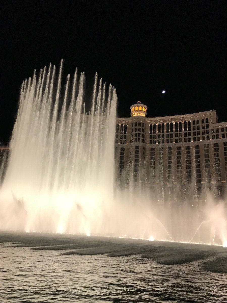 VampireUltimate's tweet photo. Great weekend with the team at Trouble in Vegas! Got to play Ultimate and wander the strip! https://t.co/QxLz7bZbwT