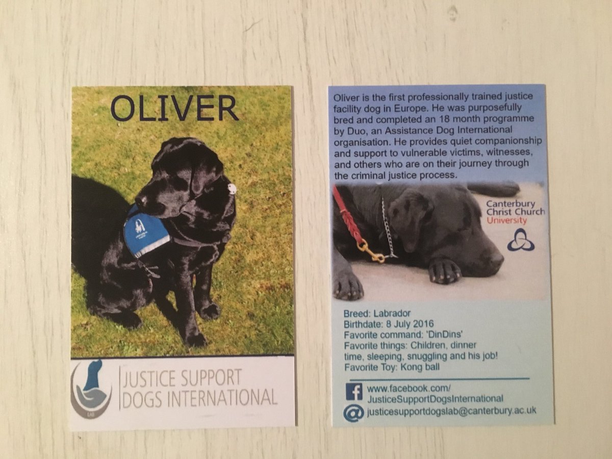 JusticeDogsLab's tweet photo. Oliver’s new business cards all ready!! Thanks @DuoDogsInc for such a photogenic facility dog!! https://t.co/4PLh3fKx0d