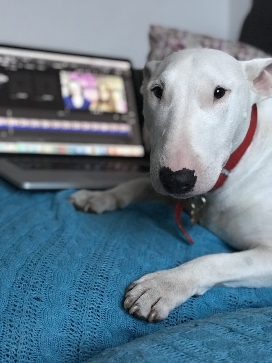 kathryntylerDM's tweet photo. Coops watching my interview with awesome founder of @projectjunoai Libby Kinsey he was keen to learn about AI and machine learning! https://t.co/YLW9xpV3HC