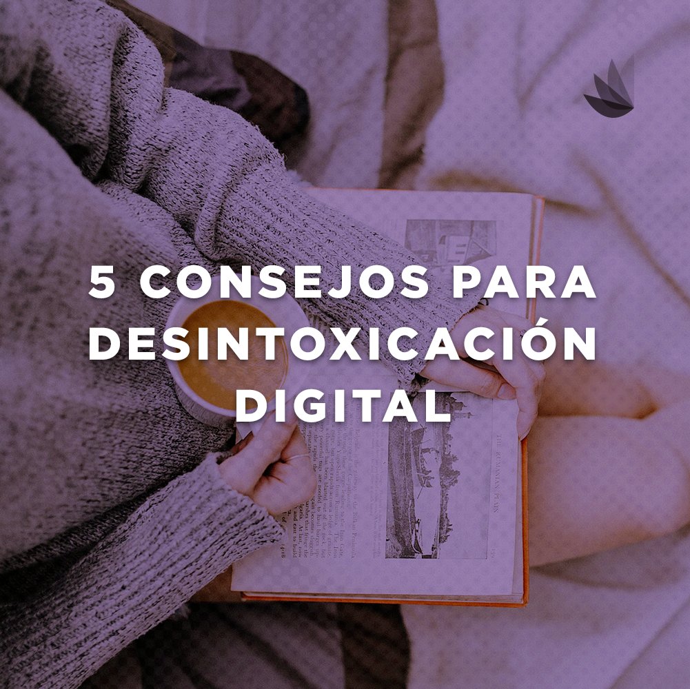 DaliaEmpower's tweet photo. Y para estas vacaciones, nada mejor que una #DesintoxicaciónDigital.
¿Ya lo has intentado?💆🏻‍♀️
Te invitamos a leer este artículo de @DaliaEmpower para ti.
https://t.co/GrYc8zVuOZ 
#DaliaEmpower #SemanaSanta2018 https://t.co/r72sZl4Gvx