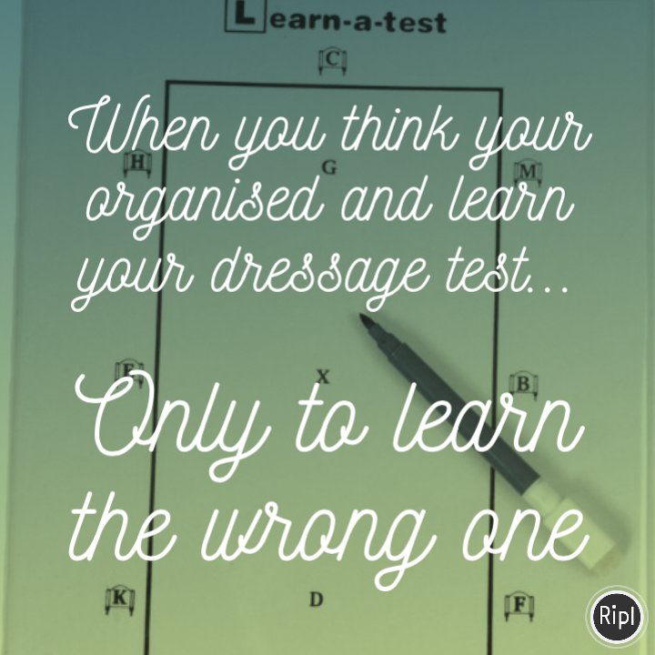 VLEquestrian's tweet image. At least I found out now #skills #organisation #test #horses #dressage 🧡💙🧡 via ripl.com