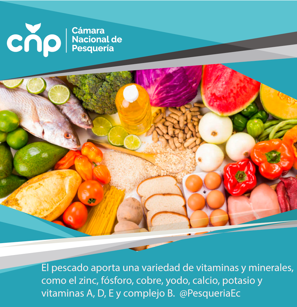 PesqueriaEc's tweet photo. El pescado es un alimento único que contiene grandes nutrientes, aportando los
aminoácidos esenciales para la formación, mantenimiento de tejidos y para el buen funcionamiento de los órganos. #CNPTeInforma @brunoleonep https://t.co/H246SVSr7g