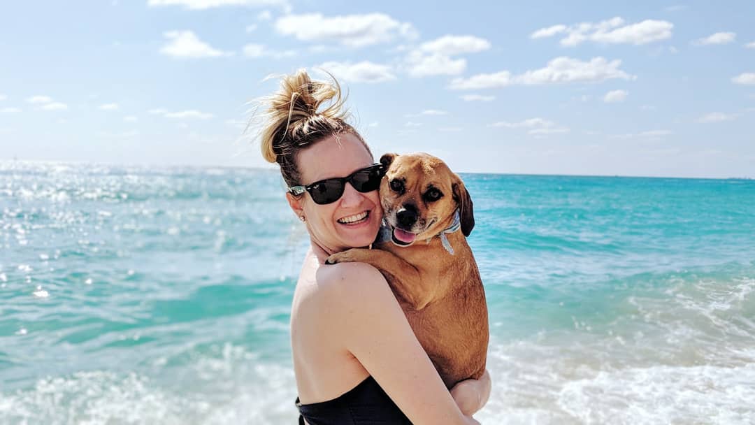 KatelynNewstate's tweet photo. Had some time for a little fun with the pups yesterday at the dog beach at Haulover Park. We LOVED it! 😎🐶🌴#Miami https://t.co/8PIuNFM2ge