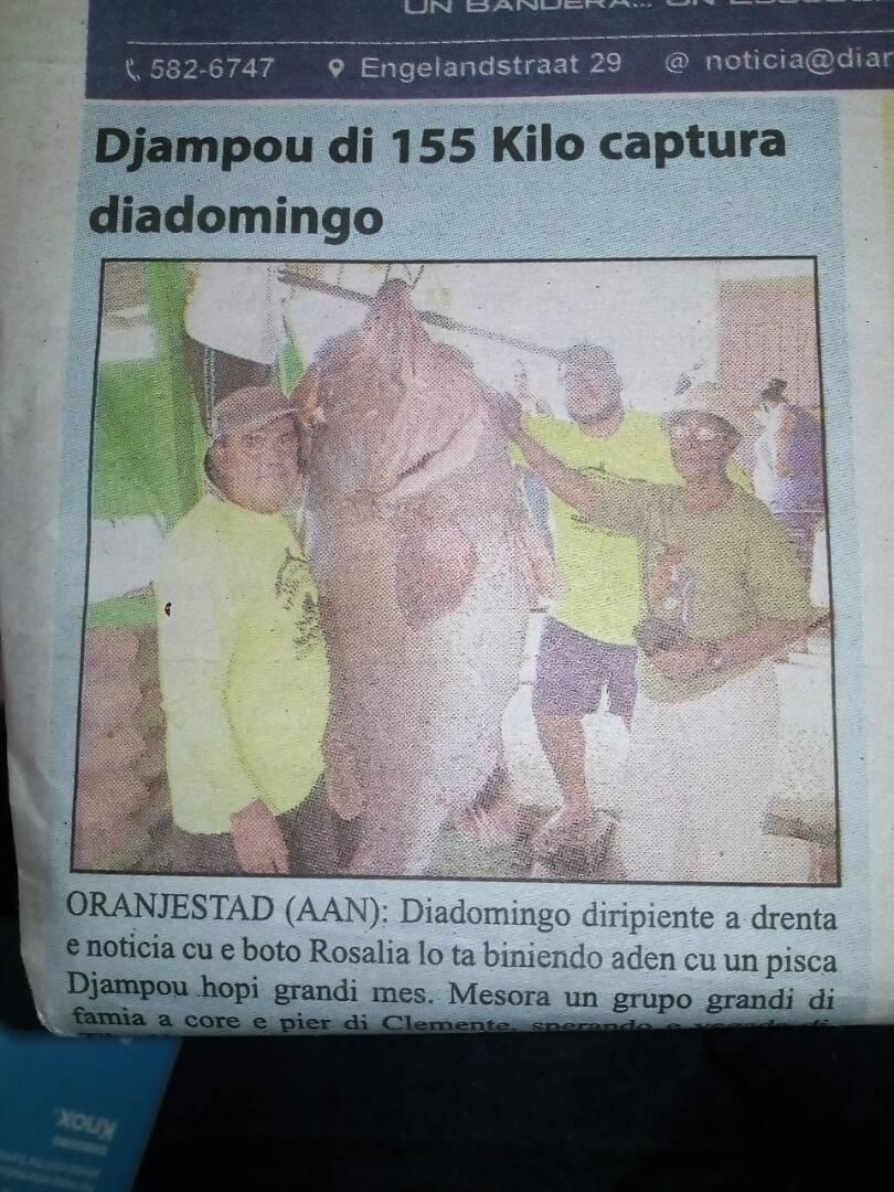 ECORIBOR's tweet photo. Cada día nuestras especies 🐟 siguen vulnerables a su #Extinción por el placer de extraer sin medir el daño a nuestras generaciones. Recuerda amig@ la #Resiliencia depende de TODOS.! #Peces #CambioClimático https://t.co/WTXMANy61s