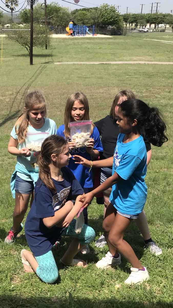 ArceVickie's tweet photo. Fun learning about food chain predator and prey.#BrauchleInspired https://t.co/16YleIMeGj