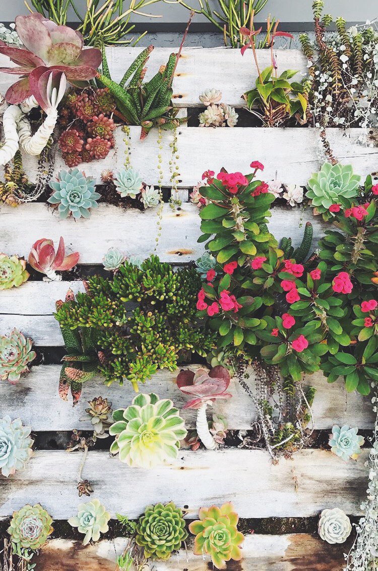 “You must nourish your life in order to see it flourish.” 🌸 Wishing the best week for all of you! #HSHmagazine