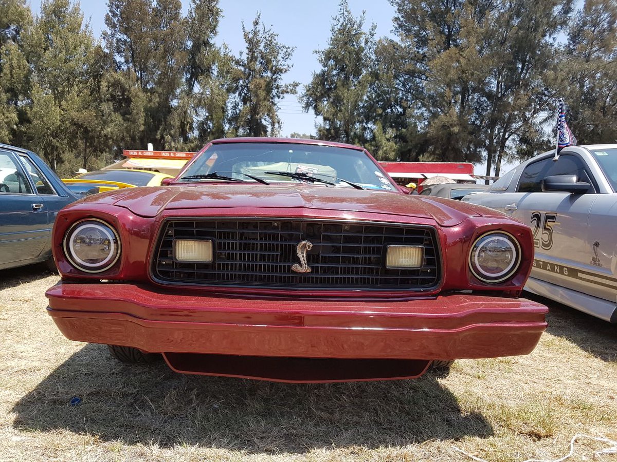TuningLovers's tweet photo. Mustang 75 Cobra 😎🐍
#TuningLovers https://t.co/AjhnPf2H3D