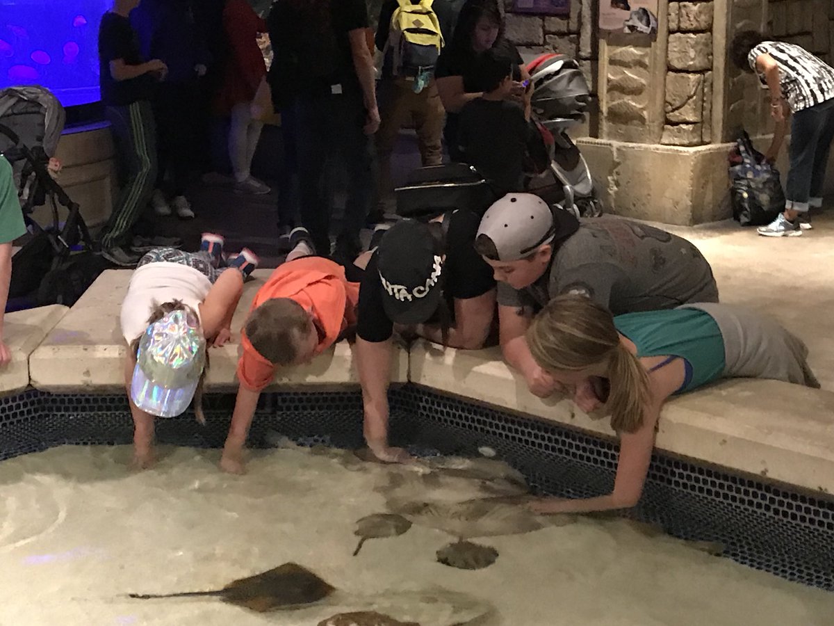 dixinco's tweet photo. Shark reef‼️🐟🦑🐡🐠🐟🐙#SpringBreak2018 #Vegas #SpringBreak @kfedix https://t.co/52HpTK3ahb